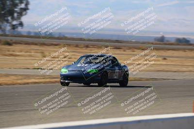 media/Nov-16-2024-CalClub SCCA (Sat) [[641f3b2761]]/Group 4/Grid and Front Straight/